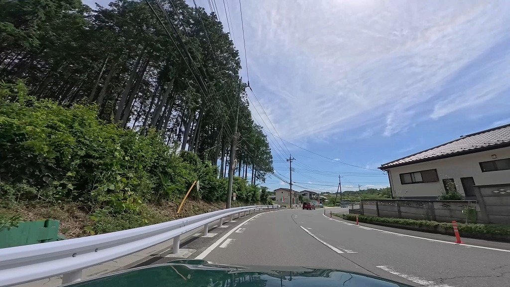 日高市 カワセミ街道